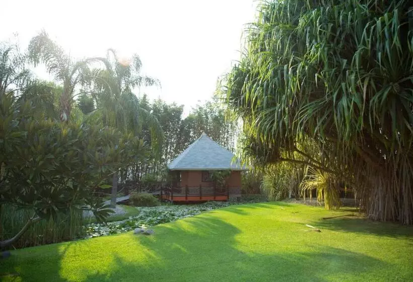 Standard Bungalow, Soul Spring Sanctuary