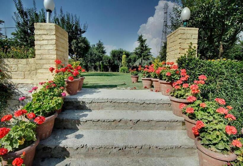 디럭스 룸, The Grand Mamta