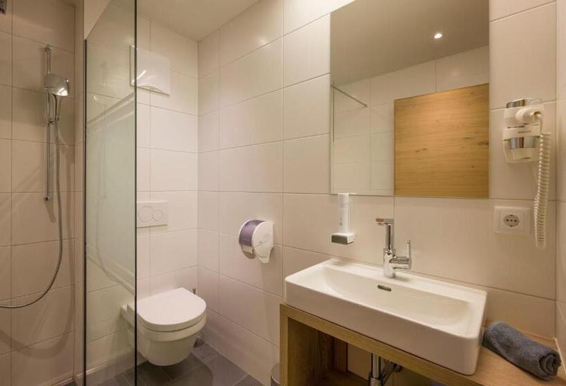 Номер Стандарт Вид на Горы, Aparthotel Alptirol