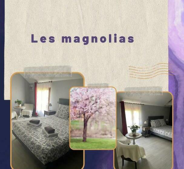 חדר סטנדרט, Bulle D évasion