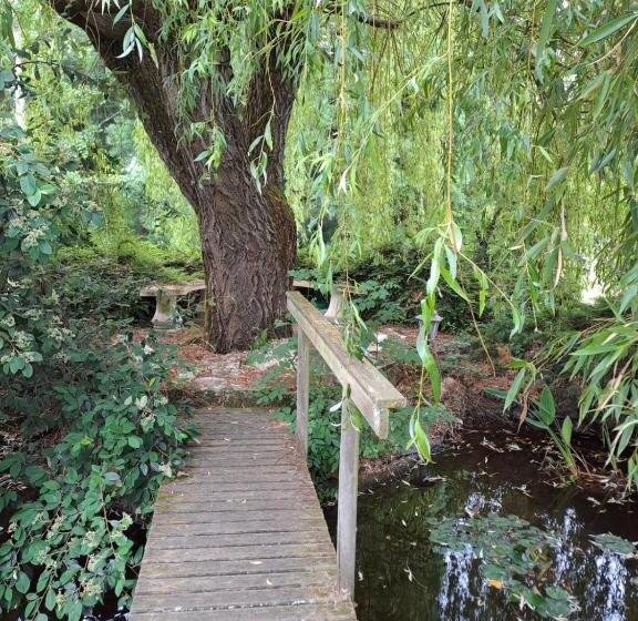 חדר סטנדרט, Bulle D évasion