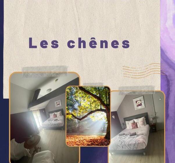 חדר סטנדרט, Bulle D évasion