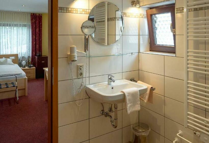 Номер Стандарт Индивидуальный, Bisenius