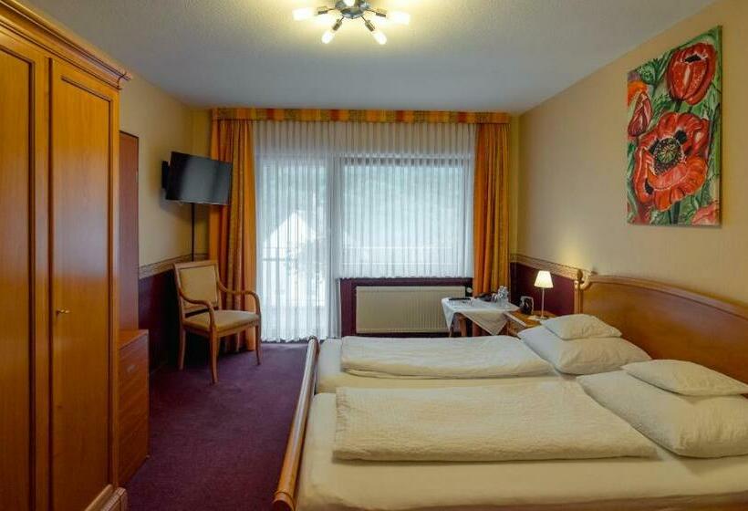 Номер Стандарт с Балконом, Bisenius