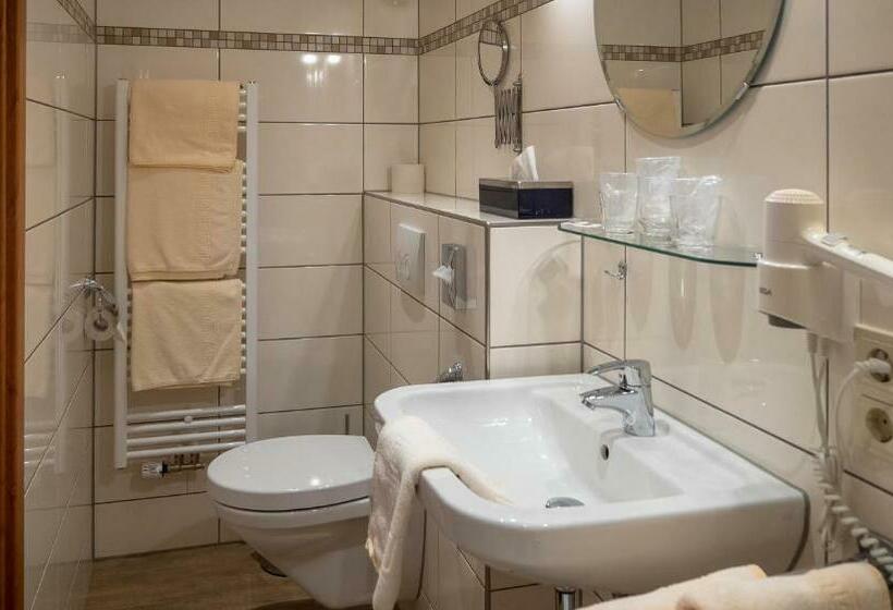 Номер Стандарт с Балконом, Bisenius