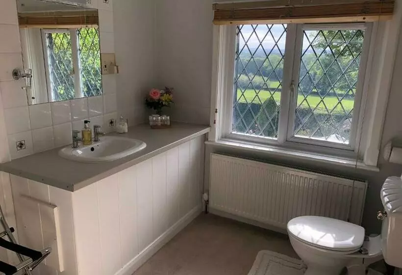 デラックスルーム, Trumbles Gatwick B&b