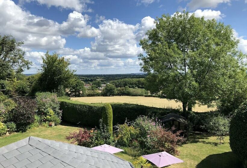 Номер Deluxe, Trumbles Gatwick B&b