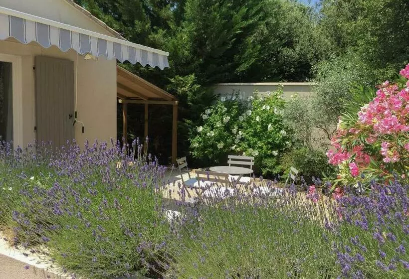 スタンダードインサイドビュールーム, La Bastide Au Ventoux