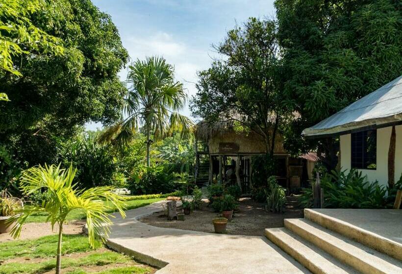 标准平房, Hostal La Media Luna Palomino