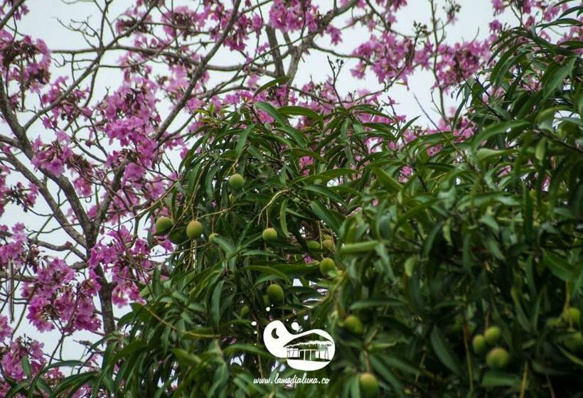 标准平房, Hostal La Media Luna Palomino