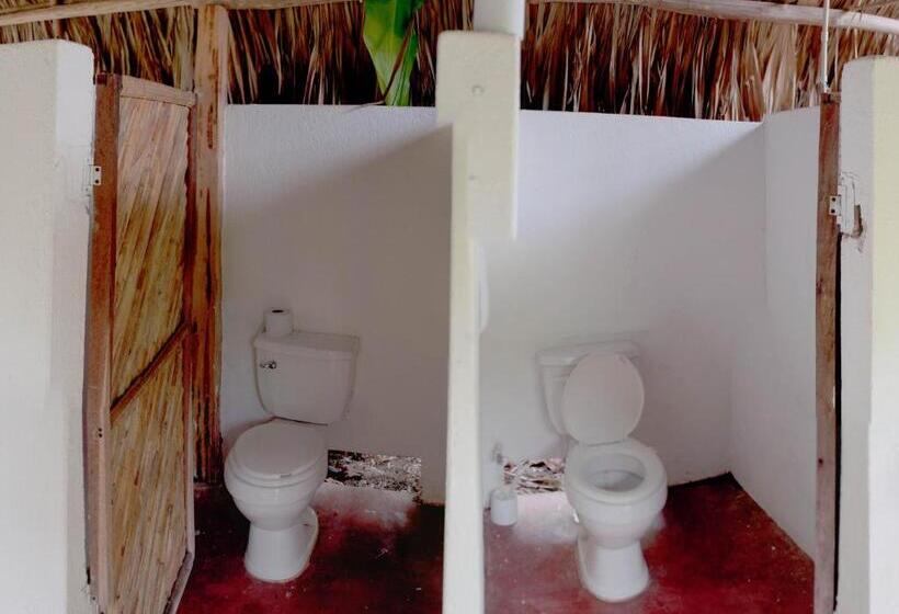 单人经济间, Hostal La Media Luna Palomino