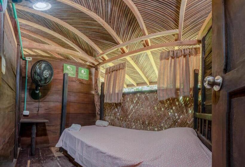 单人经济间, Hostal La Media Luna Palomino