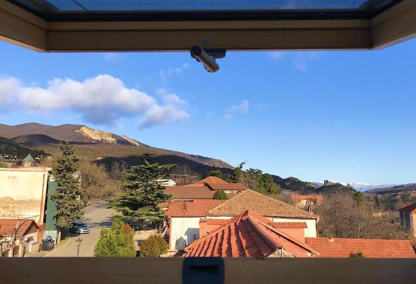 اتاق اکونومی, Aragvi