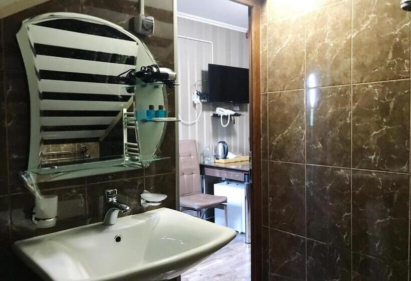 اتاق اکونومی, Aragvi