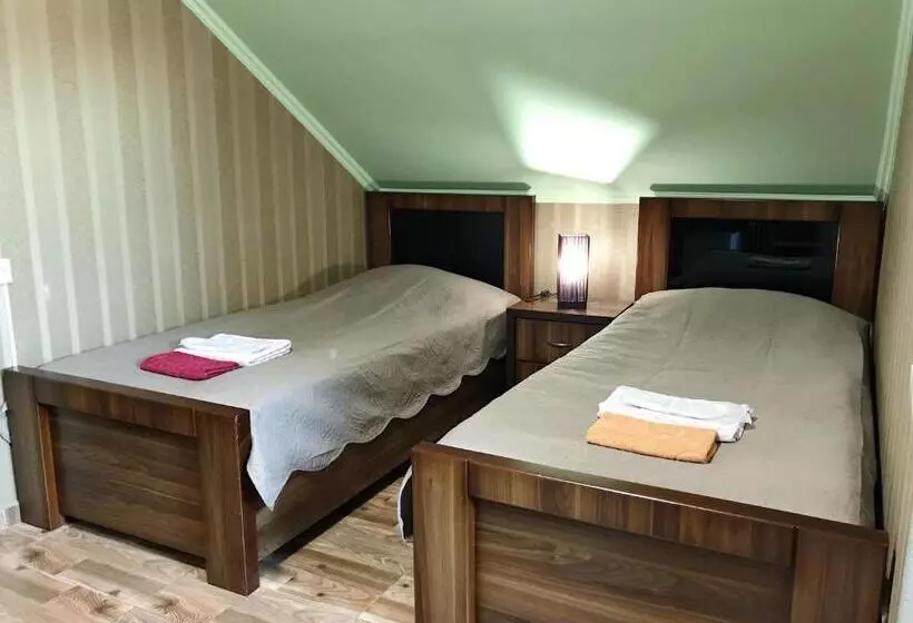 Chambre Economy, Aragvi