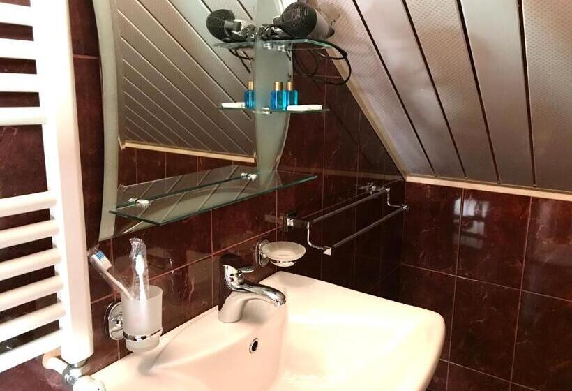 اتاق استاندارد, Aragvi