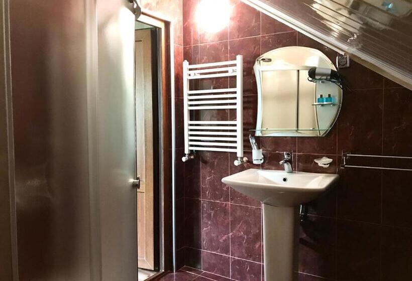 اتاق استاندارد, Aragvi