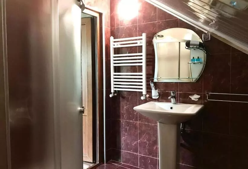 Chambre Standard, Aragvi