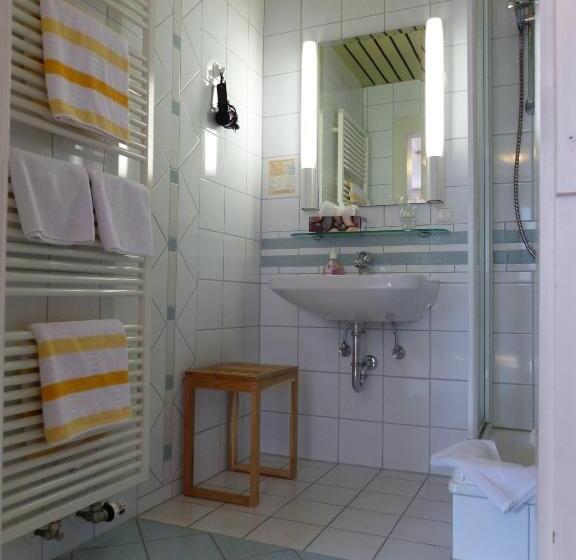 غرفة قياسية, Gästehaus & Weingut Clüsserath Weiler