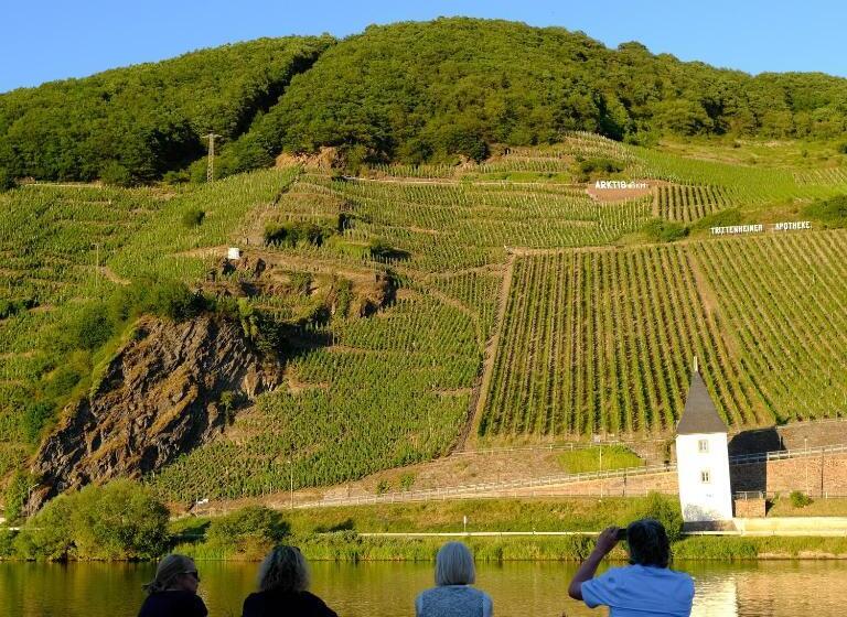 غرفة قياسية, Gästehaus & Weingut Clüsserath Weiler