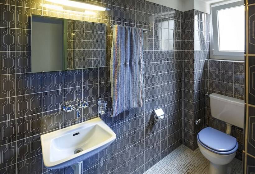 バス共有のスタンダードルーム, Residence Zum Löwen