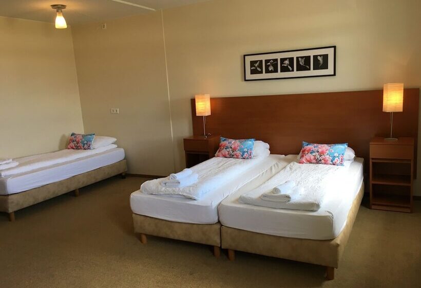 استودیوی استاندارد, Welcome Apartments