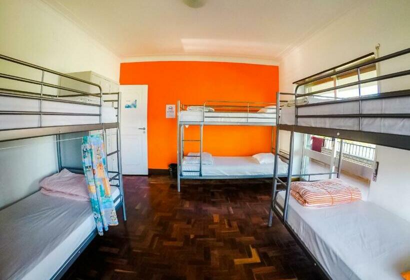 سرير فى غرفة مشتركه, Carcavelos Surf Hostel And Surf Camp