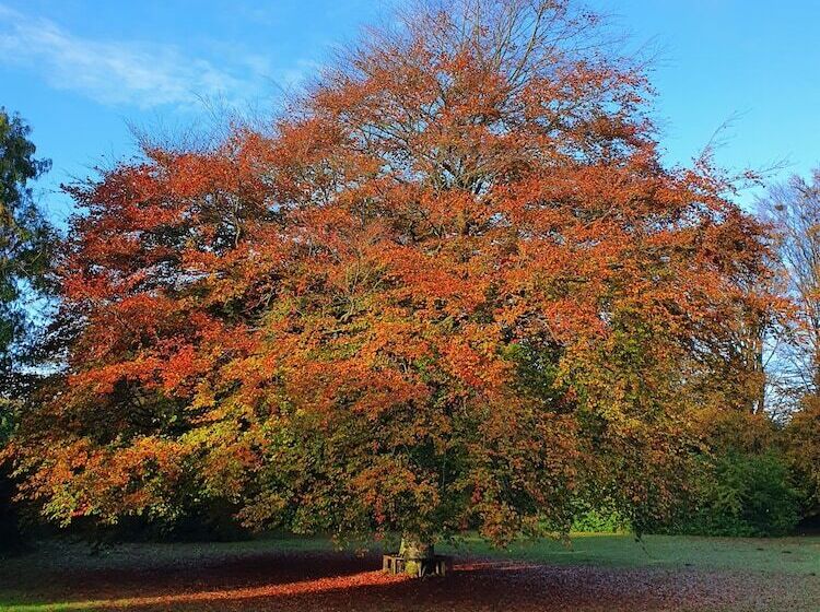 غرفة قياسية فردية حمام مشترك, Holtegaard Bed & Breakfast