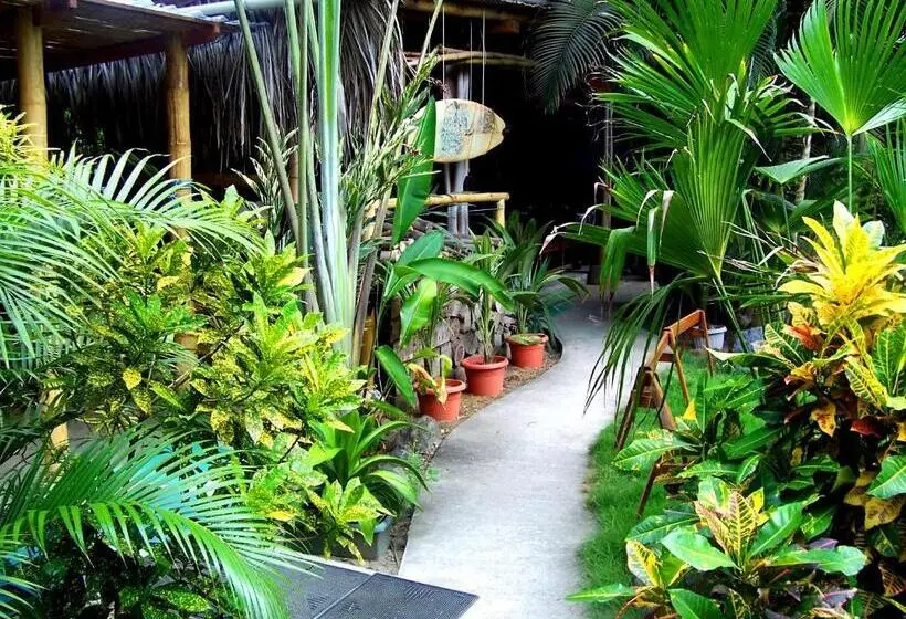 Basic-huone, Hostal Oloncito