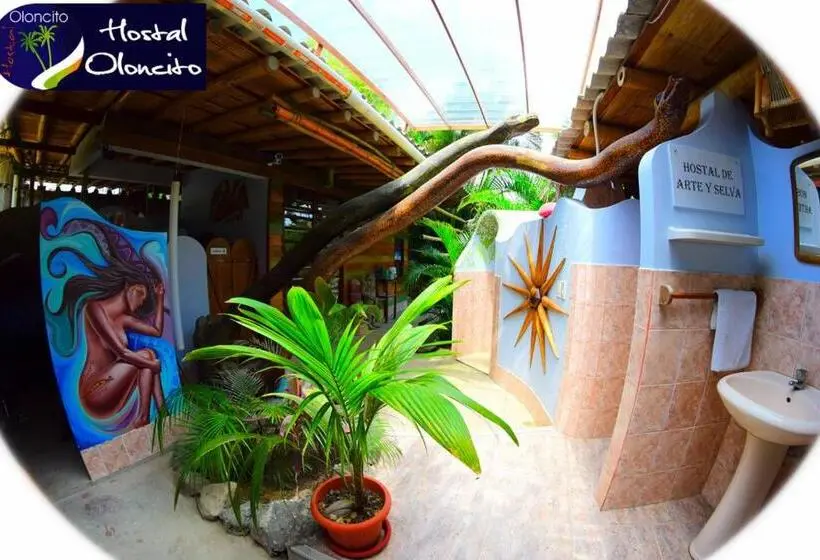 Basic-huone, Hostal Oloncito