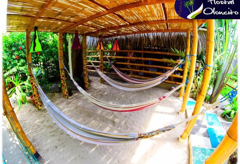 基本间, Hostal Oloncito