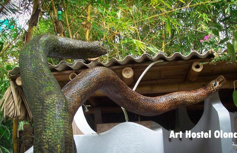 标准间, Hostal Oloncito