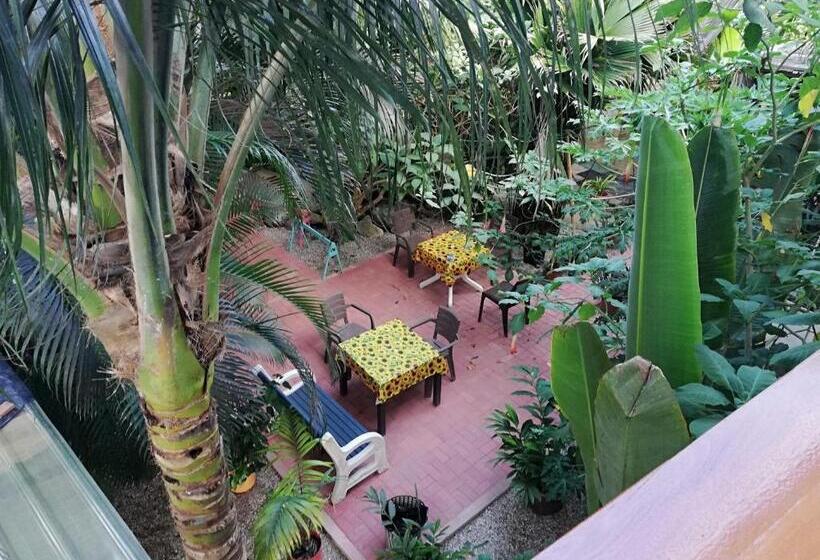 标准间, Hostal Oloncito