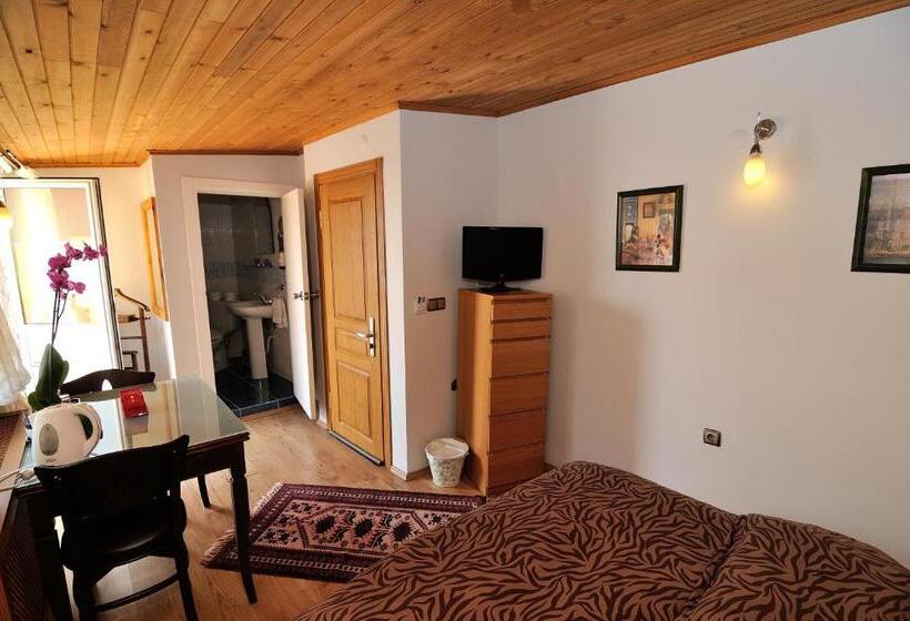 Standard Room Sea View with Balcony, Ahmet Efendi Evi