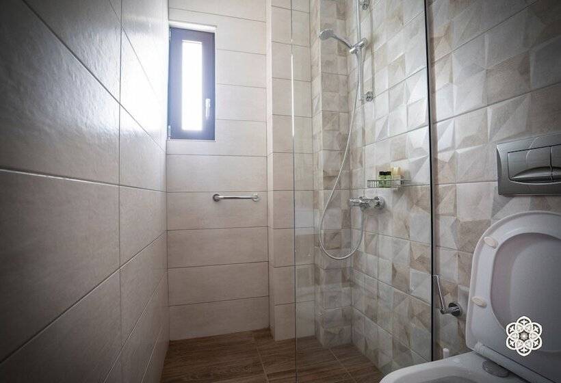 Номер Стандарт, Aktaion