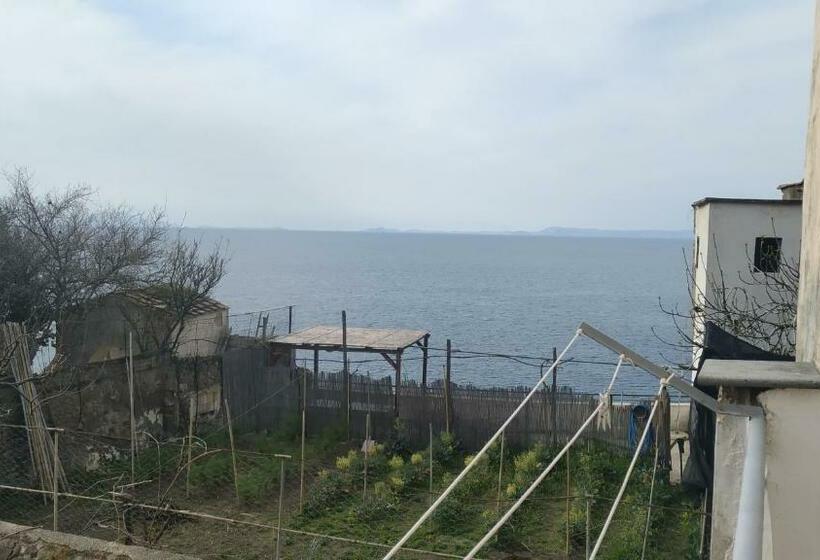 스탠다드 4인용 룸 바다전망, Relax