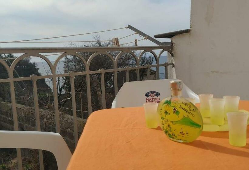 스탠다드 4인용 룸 바다전망, Relax