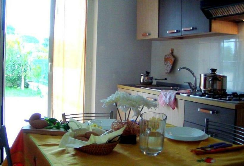 استودیوی استاندارد, Conca Degli Dei