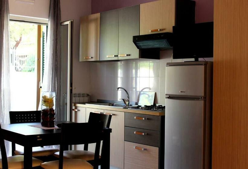 استودیوی استاندارد, Conca Degli Dei