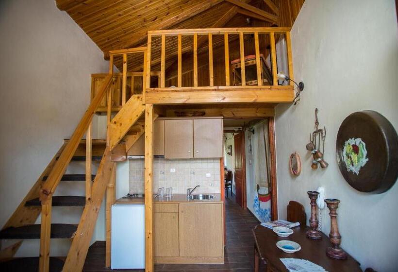 استودیوی استاندارد با چشم‌انداز دریا, Filoxenia Studios