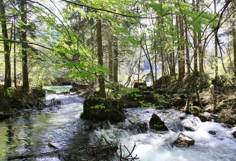 スタンダードルーム, Garni Biancaneve Ruffrè Mendola