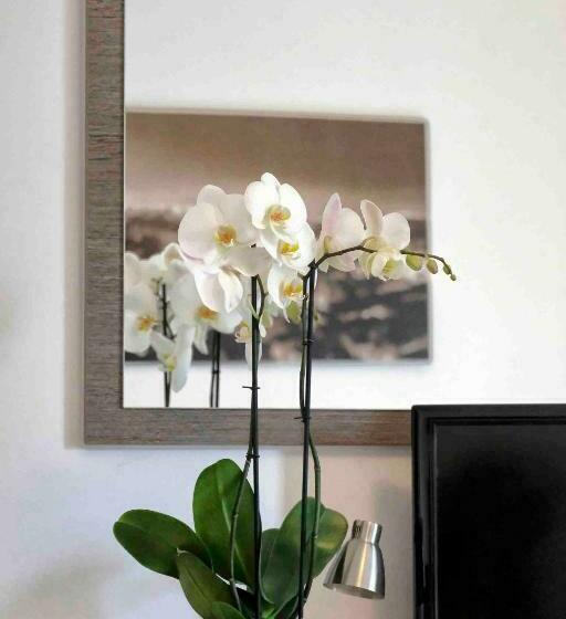 غرفة قياسية, Gelmini