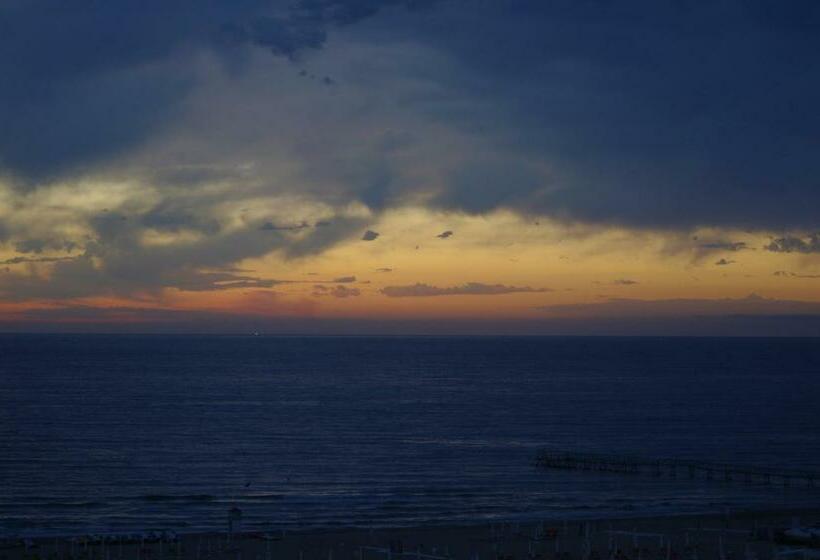 اتاق استاندارد, Grifone