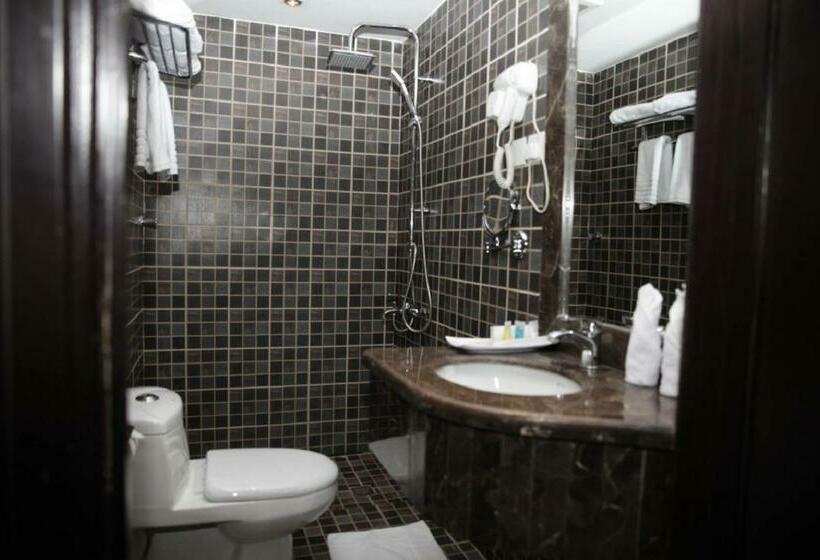 キングサイズベッドのスーペリアルーム, Dalin