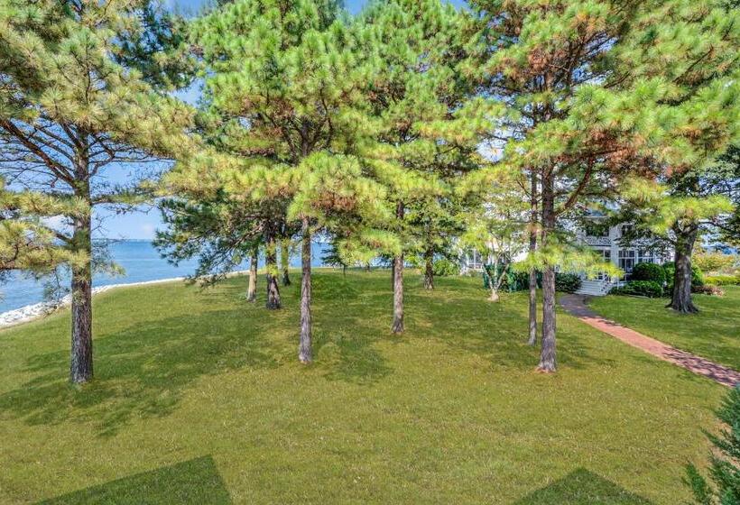 バルコニー付スタンダード４ベッドルーム, Wades Point Inn On The Bay