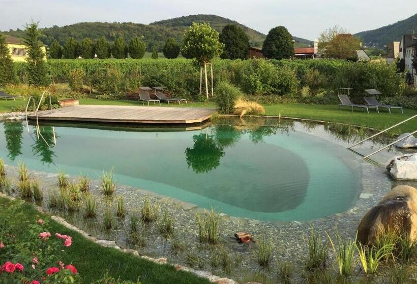 带阳台的豪华间, Weinresidenz Sonnleitner Adults Only