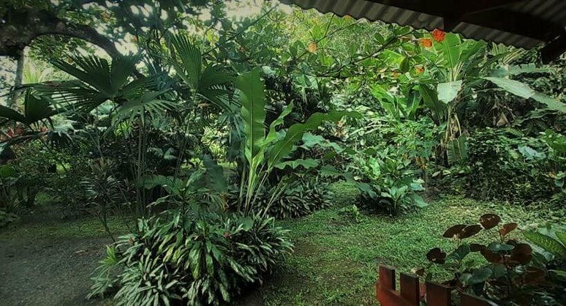 标准平房, Cabinas Algebra