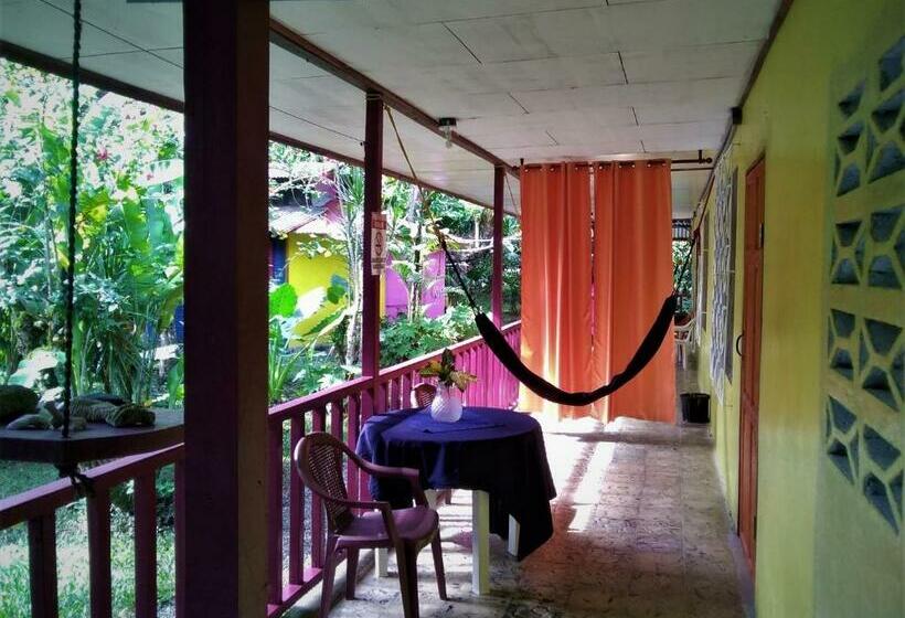 标准间, Cabinas Algebra