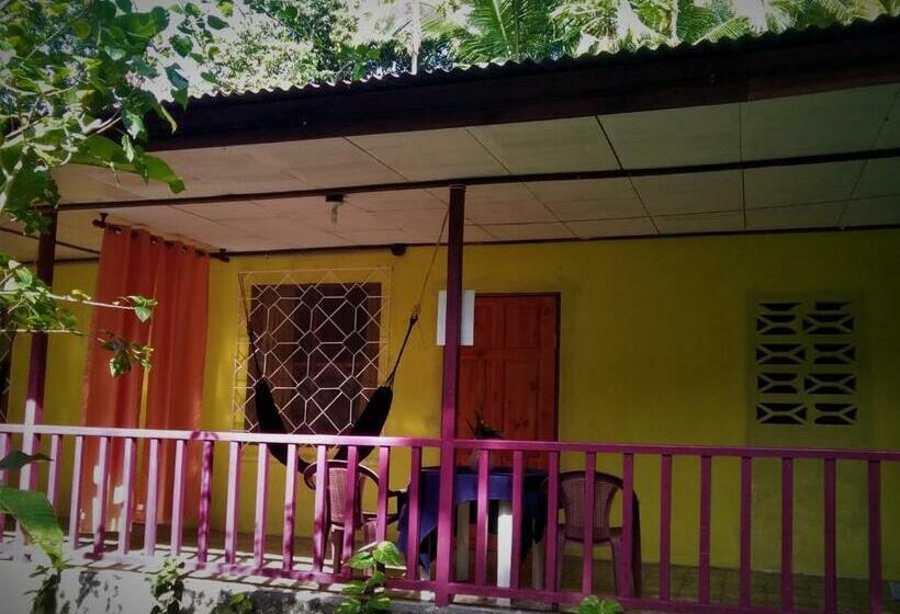 标准间, Cabinas Algebra