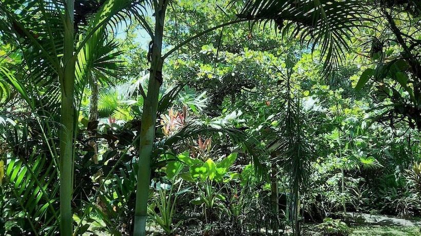 标准间, Cabinas Algebra